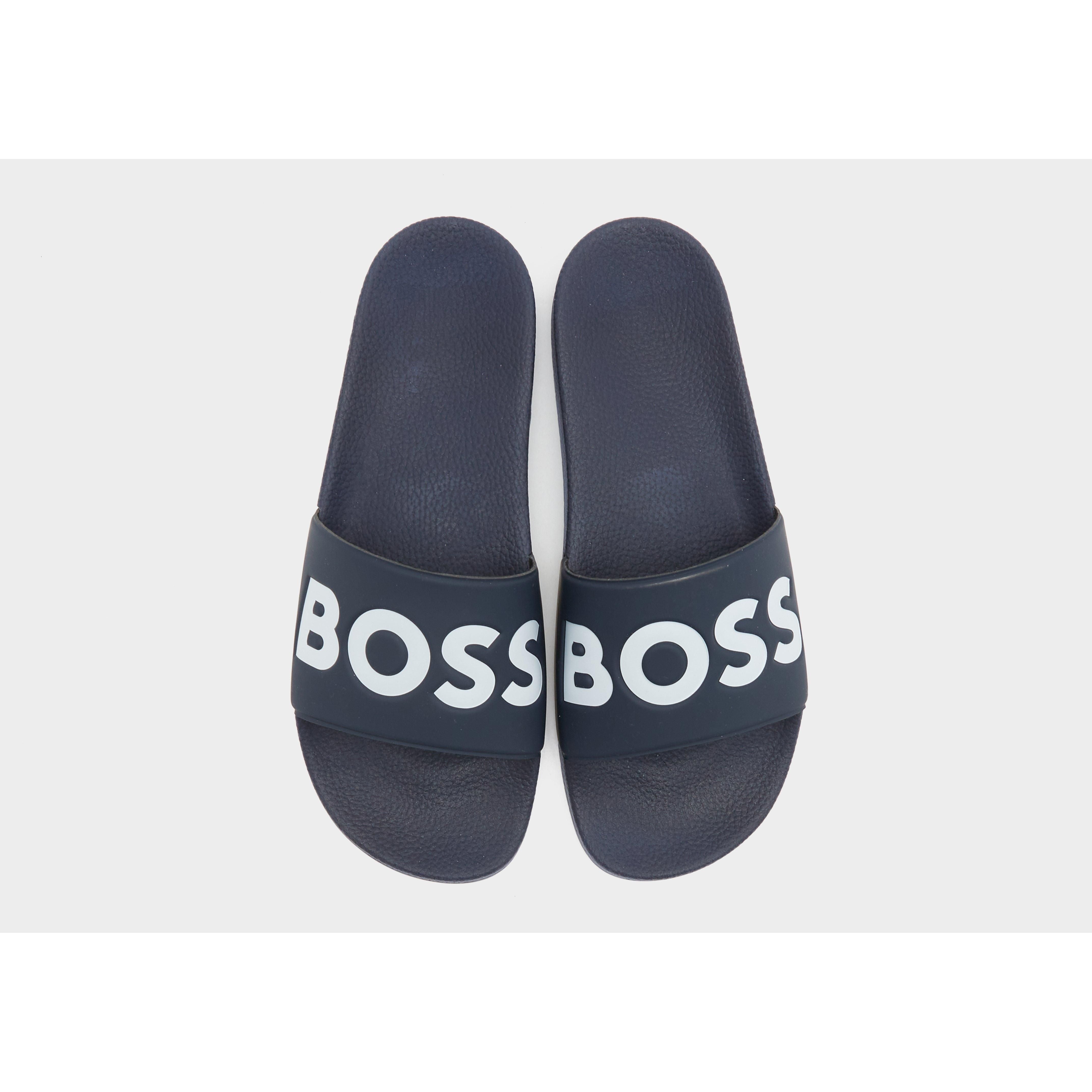 BOSS Aryeh Slides